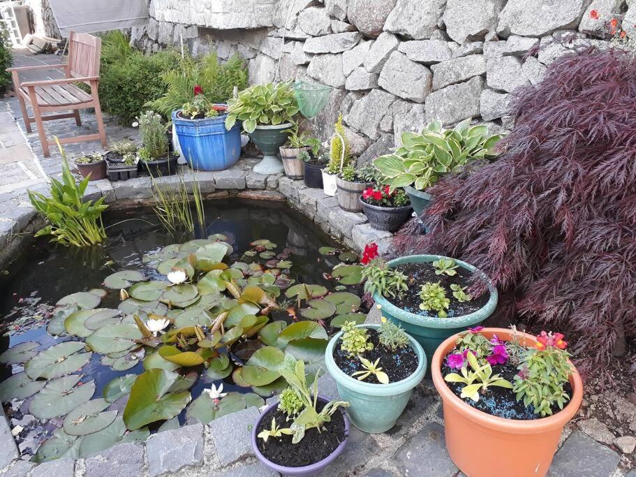 Country Cottage Close To The City. Нюри Екстериор снимка